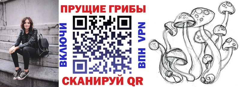 Галлюциногенные грибы мухоморы  сколько стоит  Лахденпохья 